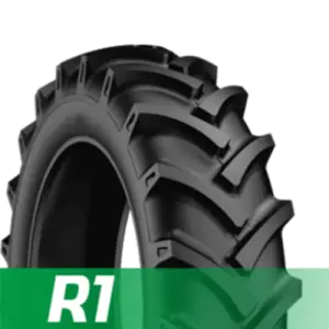 R1